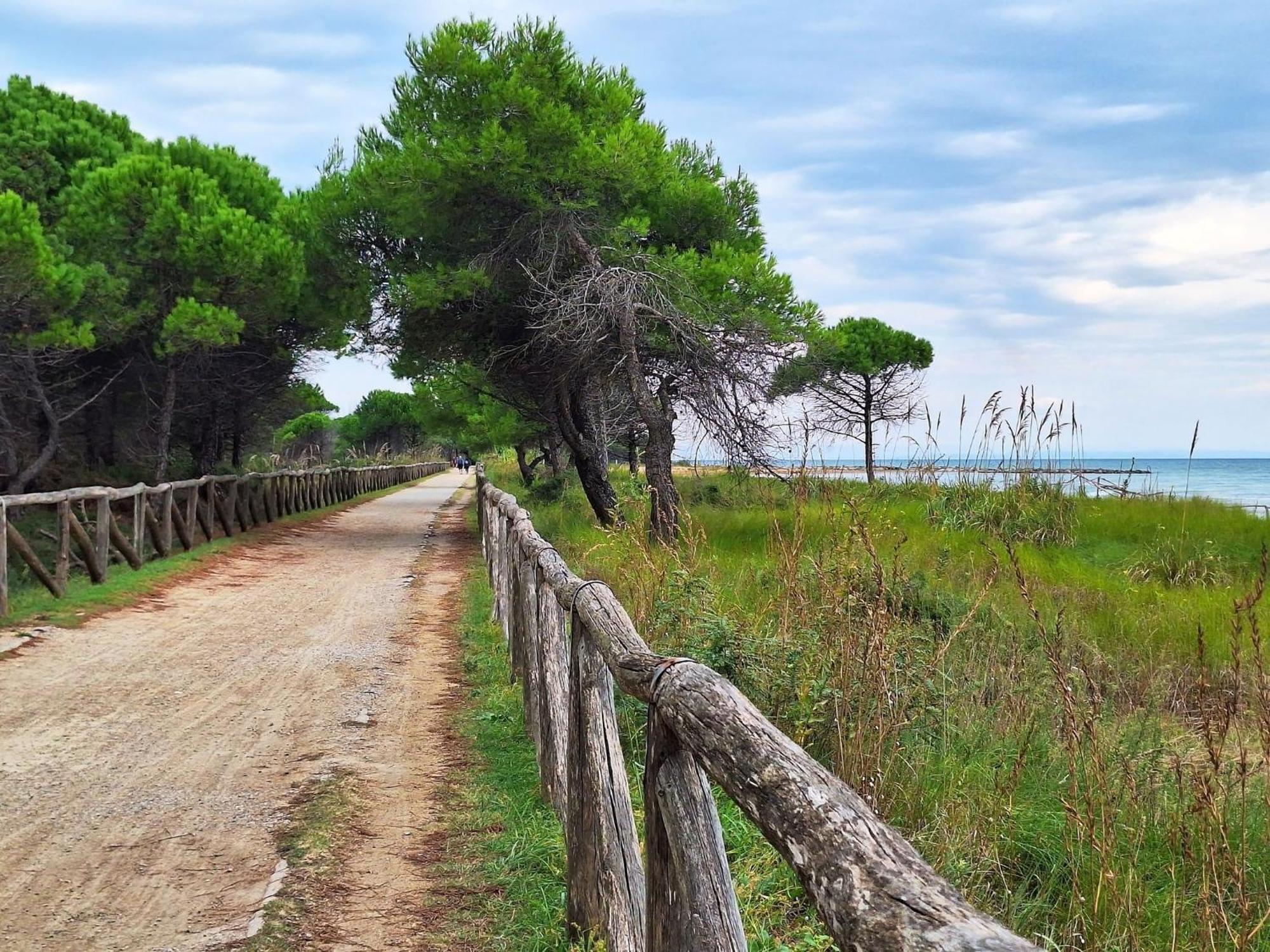 Beautiful Apartment Close To Bibione Beach - Beahost Exteriér fotografie